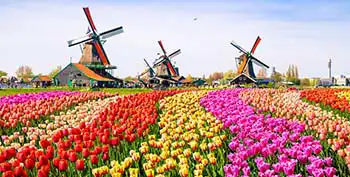 Excursiones desde Ámsterdam Excursiones desde Ámsterdam