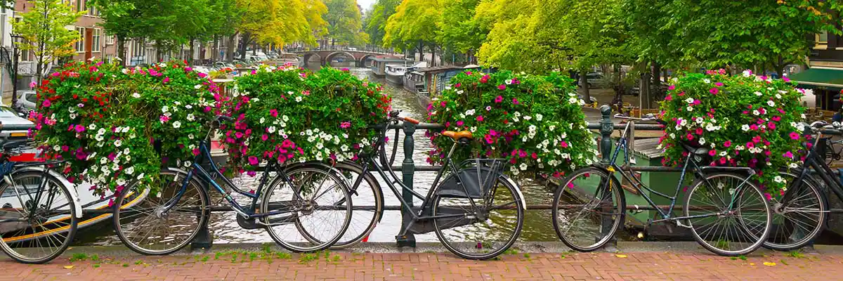 Fahrradtour Amsterdam