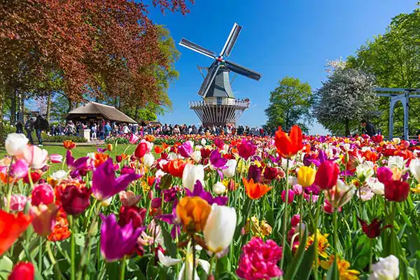 Keukenhof Holland Keukenhof Holland