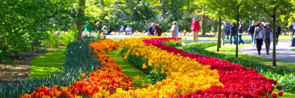 ausflüge amsterdam