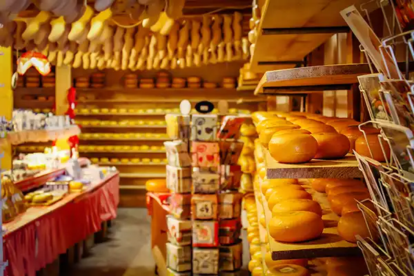 Zaanse Schans tour vanaf Amsterdam